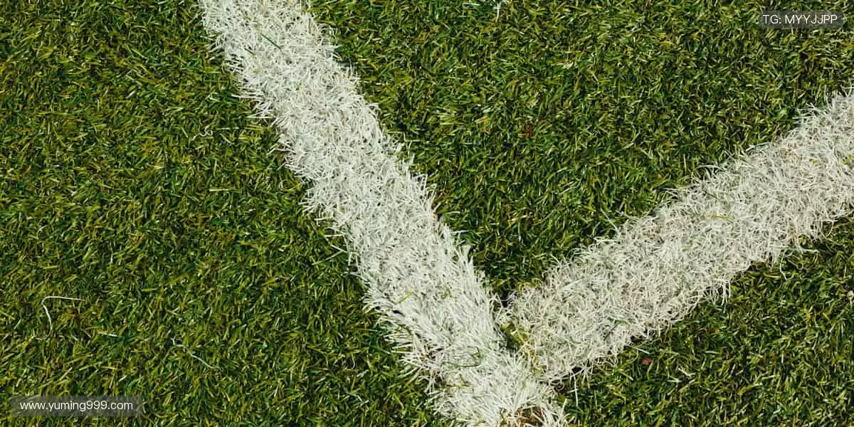 突破极限,超越自我!🏀