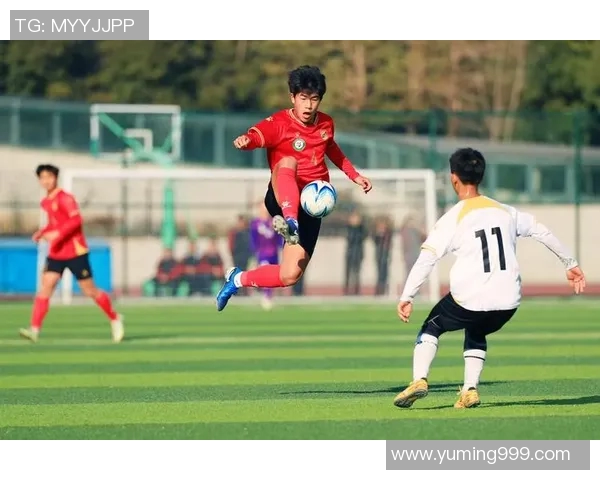 法语国家的足球巨星们如何在绿茵场上书写传奇故事